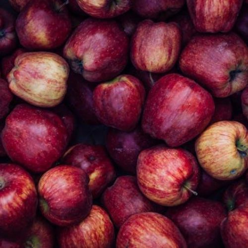 A close-up of a pile of fresh red apples