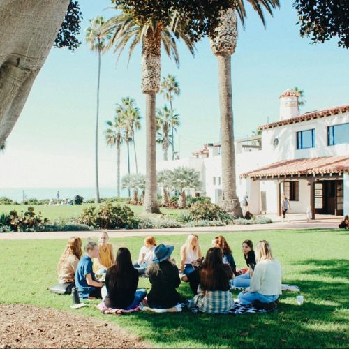 A group of people sitting on the grass in a park under palm trees. They are gathered in a circle and are engaged in conversation in front of a white building with a red-tile roof.