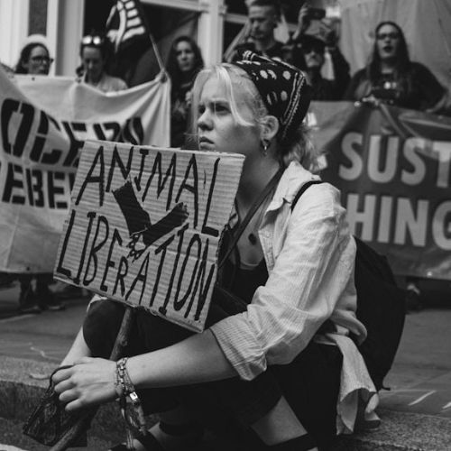 A black-and-white photo of a person holding a sign that reads "Animal Liberation" while participating in a protest. Other protesters and banners are visible in the background.