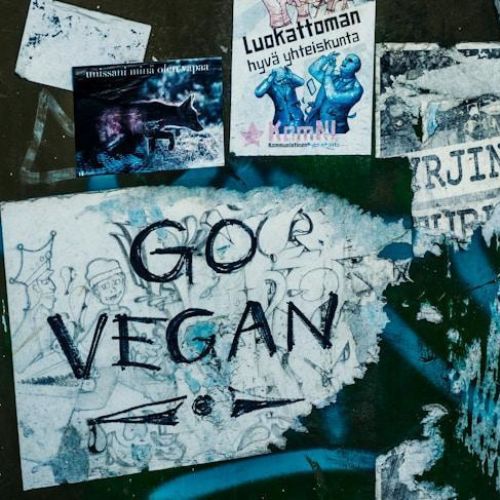  A grungy wall covered with various posters and stickers. The central focus is on a large, partially torn poster with the words "GO VEGAN" in bold letters