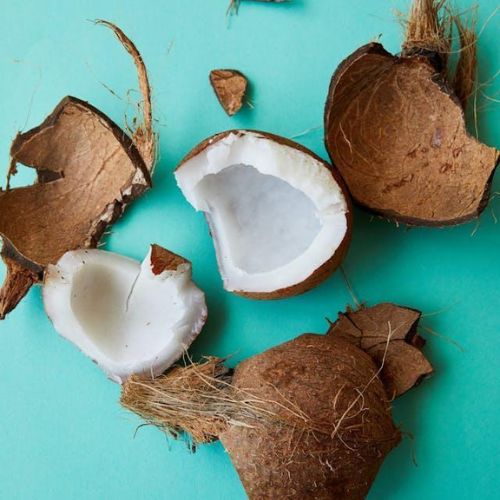 Broken pieces of a brown coconut lying on a turquoise background