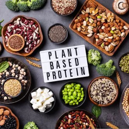 An assortment of plant-based protein sources, including beans, nuts, seeds, and tofu, displayed in bowls around a sign that says "PLANT BASED PROTEIN"