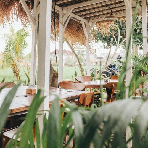 An outdoor dining area with wooden tables and chairs under a thatched roof, surrounded by lush greenery and tropical plants.